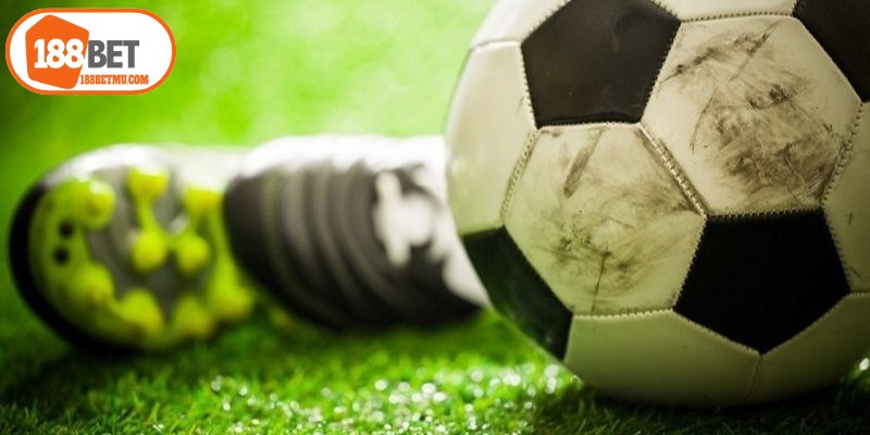 Chiến thuật đặt kèo tài xỉu 0.25 thắng lớn