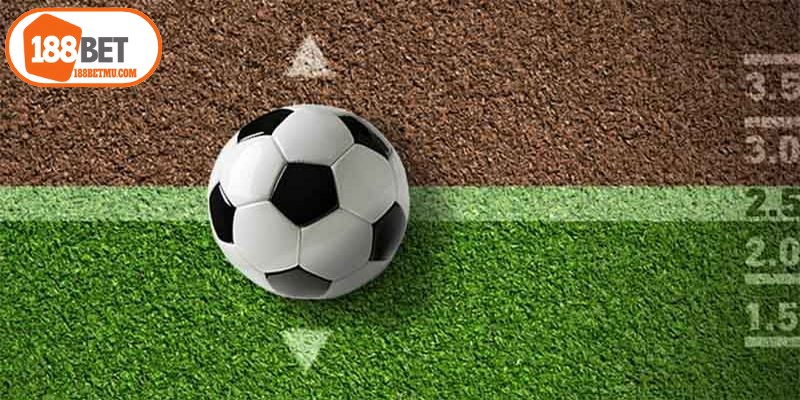 Kèo tài xỉu 0.25 là một trong những loại kèo dễ chơi nhất